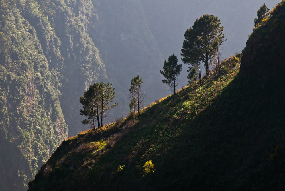 491_Madera_Eira do Serrado.jpg
